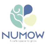 numow-sa.com